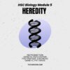 99 ATAR Module 5 HSC Biology Notes - Heredity