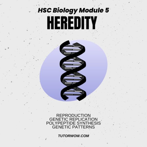 99 ATAR Module 5 HSC Biology Notes - Heredity