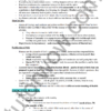 99 ATAR HSC Studies of Religion - Islam