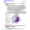 99 ATAR HSC Biology - All Modules